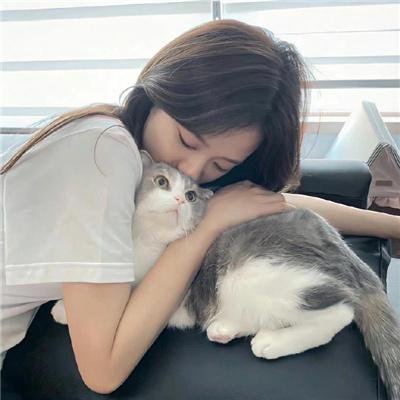 洪福齐天粤语